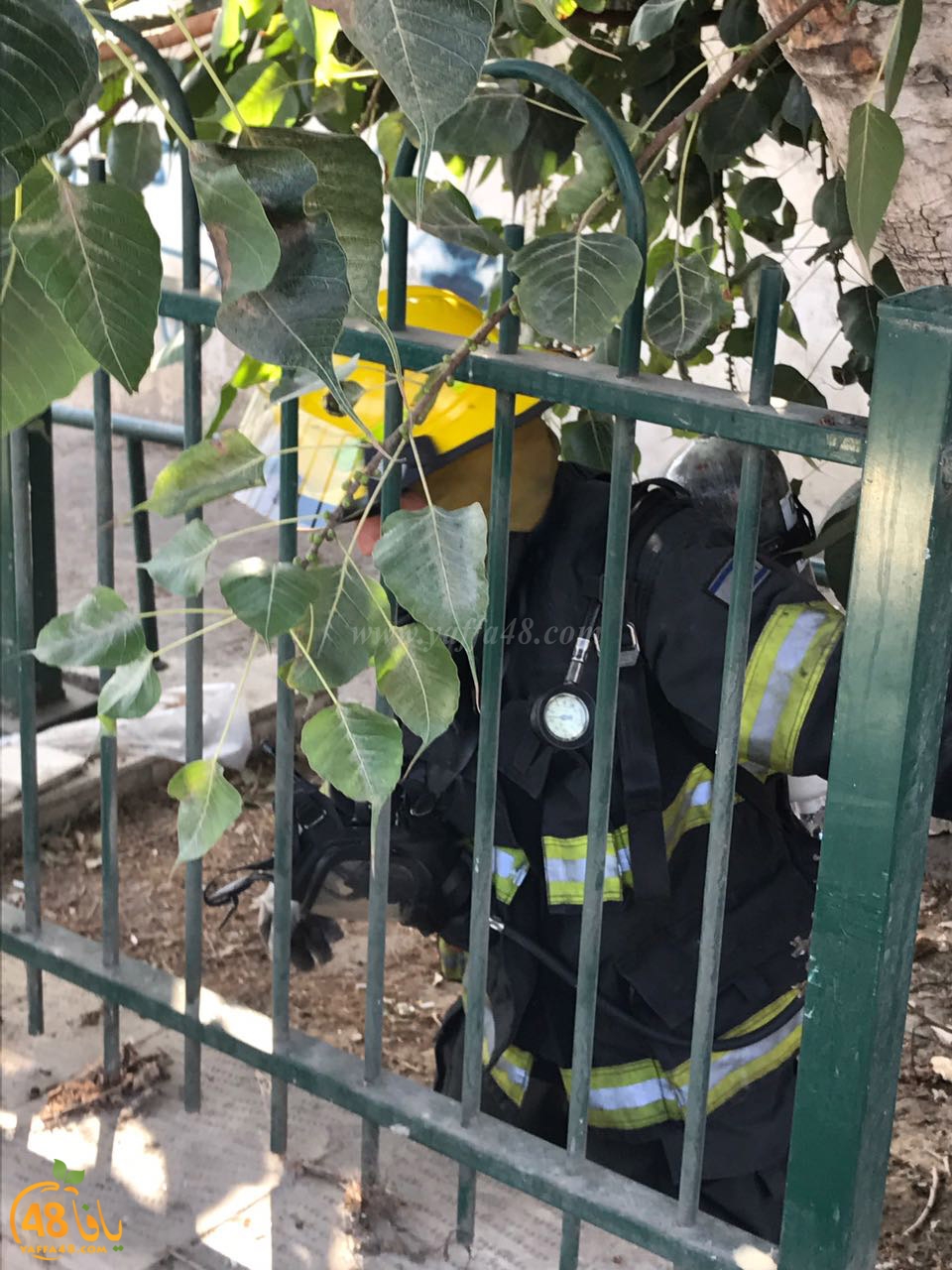 fire uasgqwhe (2).jpg